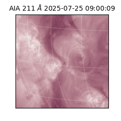 saia - 2025-07-25T09:00:09.632000
