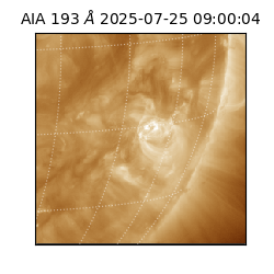 saia - 2025-07-25T09:00:04.843000