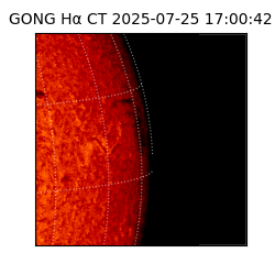 gong - 2025-07-25T17:00:42