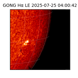 gong - 2025-07-25T04:00:42