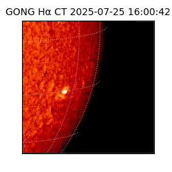 gong - 2025-07-25T16:00:42