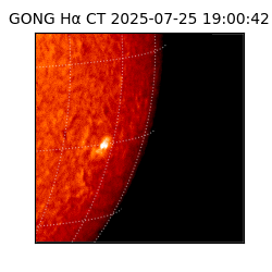 gong - 2025-07-25T19:00:42