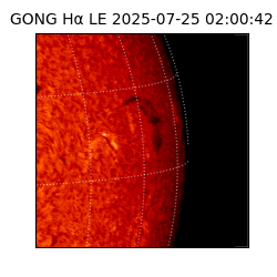 gong - 2025-07-25T02:00:42