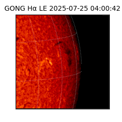 gong - 2025-07-25T04:00:42