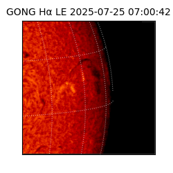 gong - 2025-07-25T07:00:42