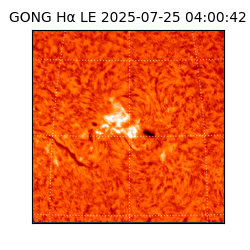 gong - 2025-07-25T04:00:42