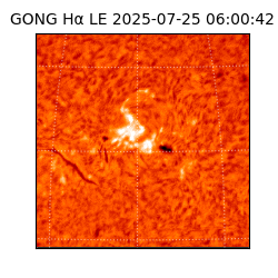 gong - 2025-07-25T06:00:42