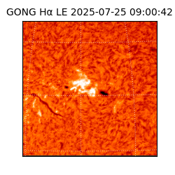 gong - 2025-07-25T09:00:42