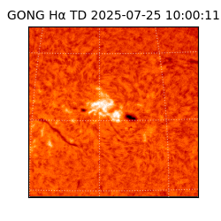 gong - 2025-07-25T10:00:11