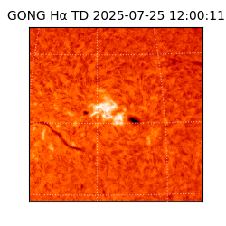 gong - 2025-07-25T12:00:11