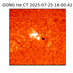 gong - 2025-07-25T16:00:42