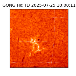 gong - 2025-07-25T10:00:11