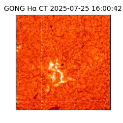 gong - 2025-07-25T16:00:42