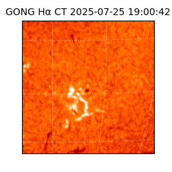 gong - 2025-07-25T19:00:42