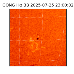 gong - 2025-07-25T23:00:02