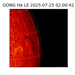 gong - 2025-07-25T02:00:42