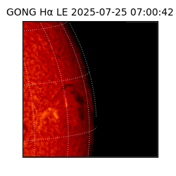 gong - 2025-07-25T07:00:42