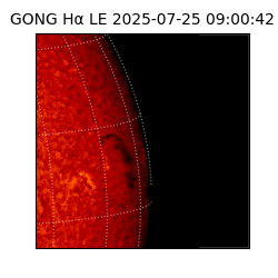 gong - 2025-07-25T09:00:42