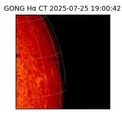 gong - 2025-07-25T19:00:42