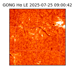 gong - 2025-07-25T09:00:42