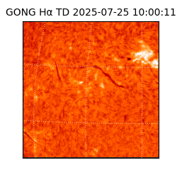 gong - 2025-07-25T10:00:11