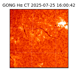 gong - 2025-07-25T16:00:42