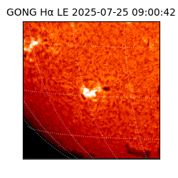 gong - 2025-07-25T09:00:42