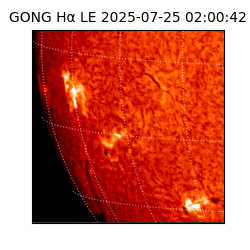 gong - 2025-07-25T02:00:42