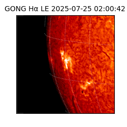 gong - 2025-07-25T02:00:42