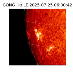 gong - 2025-07-25T06:00:42