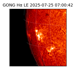gong - 2025-07-25T07:00:42