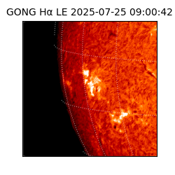 gong - 2025-07-25T09:00:42
