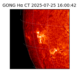 gong - 2025-07-25T16:00:42