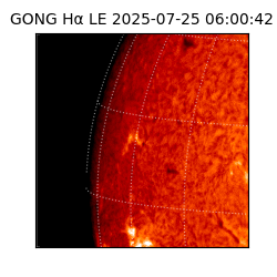 gong - 2025-07-25T06:00:42