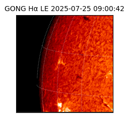 gong - 2025-07-25T09:00:42