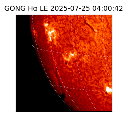 gong - 2025-07-25T04:00:42