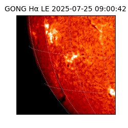 gong - 2025-07-25T09:00:42