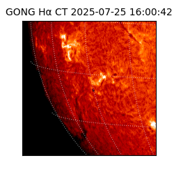gong - 2025-07-25T16:00:42