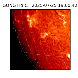 gong - 2025-07-25T19:00:42