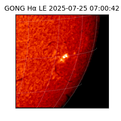 gong - 2025-07-25T07:00:42