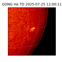 gong - 2025-07-25T12:00:11