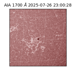 saia - 2025-07-26T23:00:28.717000