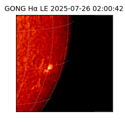 gong - 2025-07-26T02:00:42