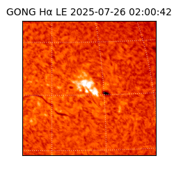 gong - 2025-07-26T02:00:42