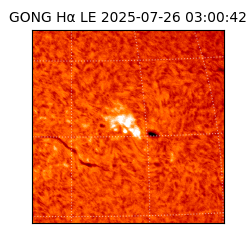 gong - 2025-07-26T03:00:42