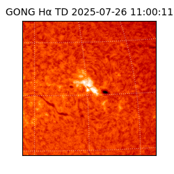 gong - 2025-07-26T11:00:11