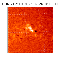 gong - 2025-07-26T16:00:11