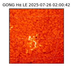 gong - 2025-07-26T02:00:42