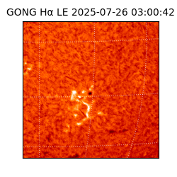 gong - 2025-07-26T03:00:42