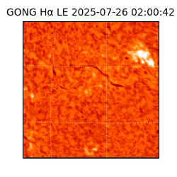 gong - 2025-07-26T02:00:42